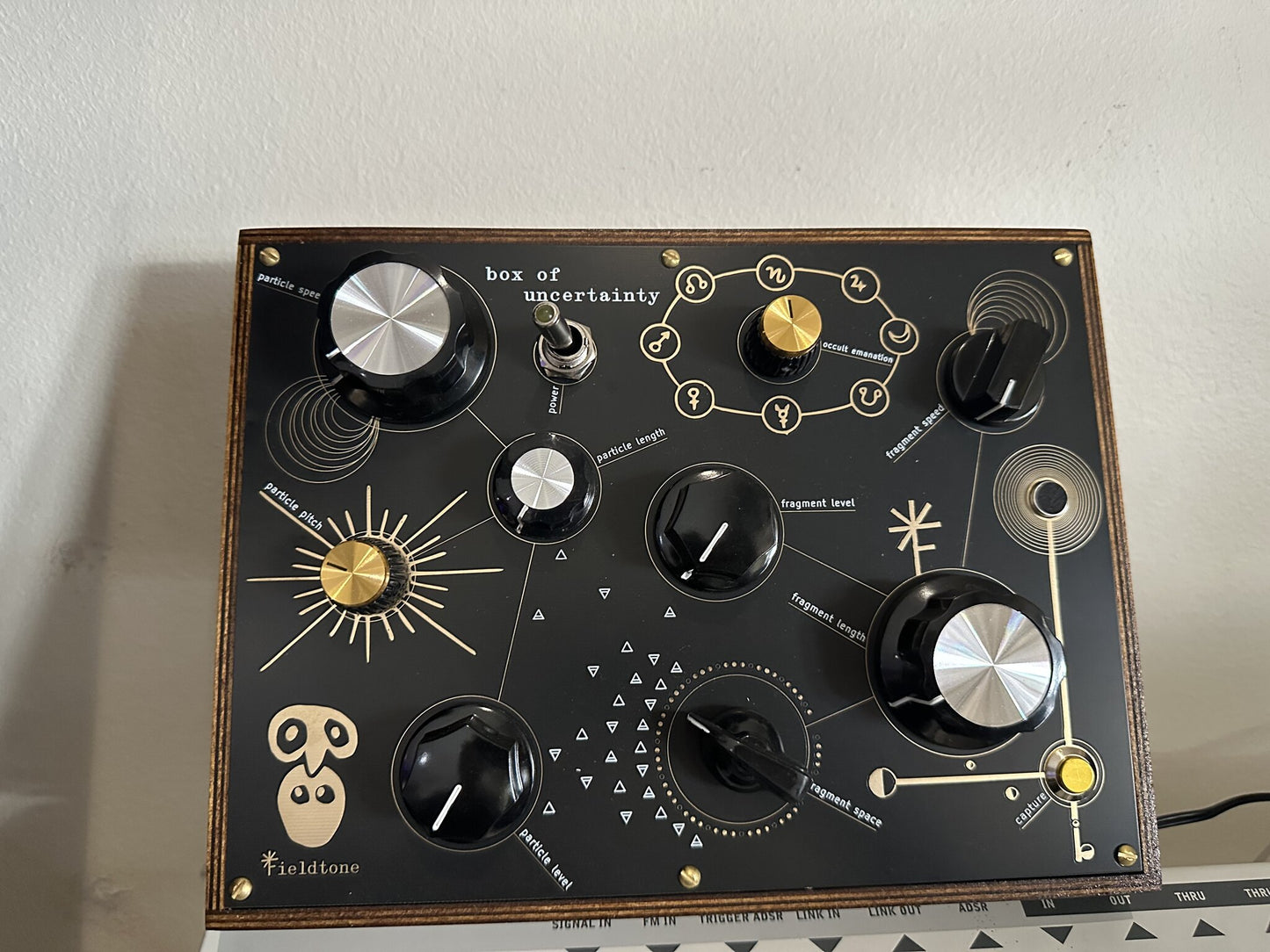 Fieldtone Box of Uncertainty granular synth