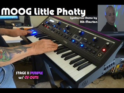Moog Little Phatty Stage II sound demo